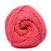 Charity DK 100 % Acrylic Yarn