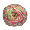Elle Wool Charity Chunky 100g Ball Yarn